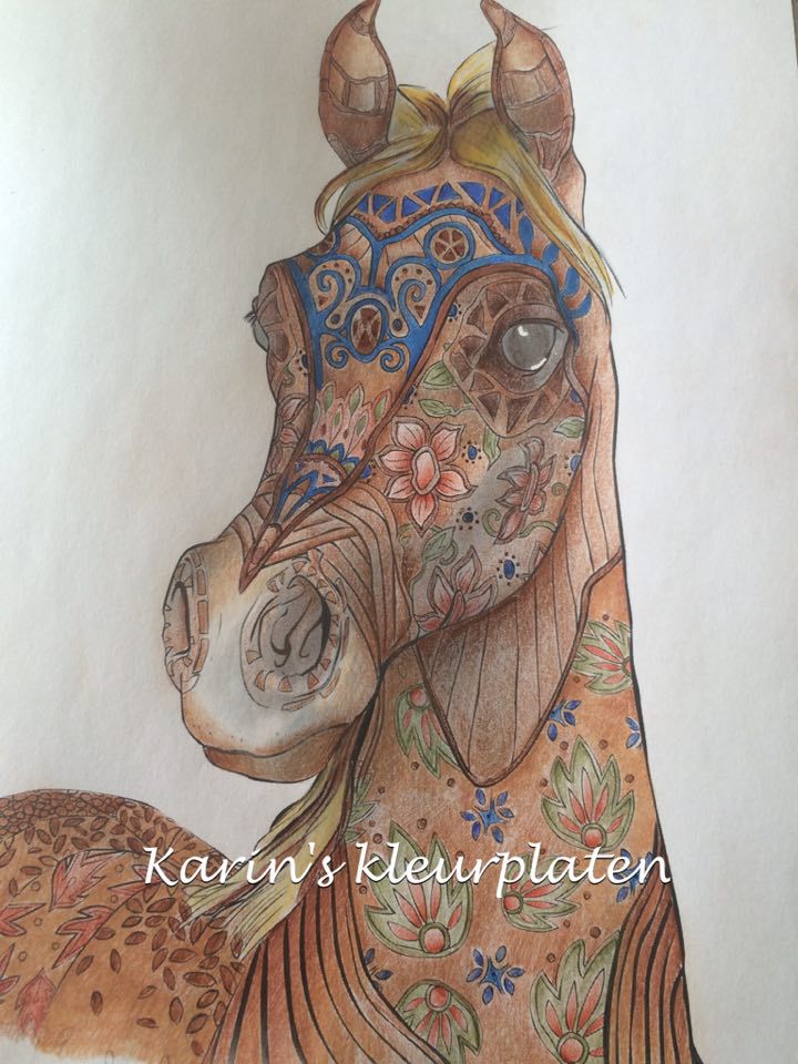 Colorist Karin Kamp colors The Amazing World of Horses by Cindy Elsharouni