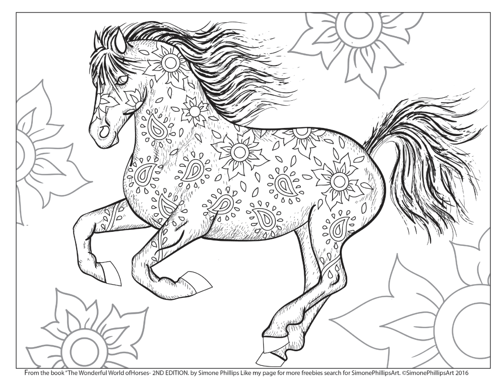 The Wonderful World of Horses Adult Coloring Colouring book Beautiful Horses to Color llustrations by Simone Phillips